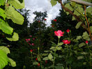 DSCN9757