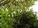 DSCN9758