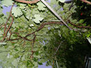 DSCN9772