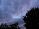 DSCN9780