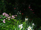 DSCN9781