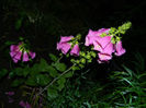 DSCN9783