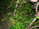DSCN9788
