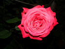 DSCN9792
