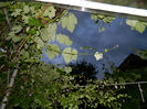 DSCN9817