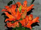 DSCN9647