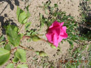 DSCN7879