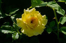 China Girl f