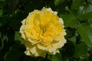 China Girl f2