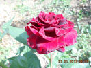 DSCN7949