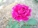 DSCN7957