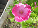 DSCN7959