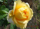 DSCN7960