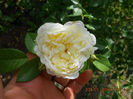 DSCN7965