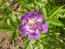 DSCN7974