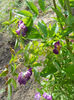 DSCN7976