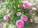 DSCN7997