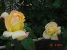 Picture 114