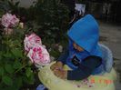 Picture 106