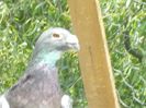 DSCN0975