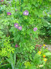 DSC07848