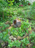 DSC07862