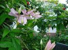 DSC07456