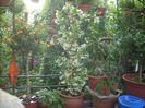 DSCN2646[1]