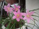 DSCN2636[1]