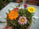 DSCN2637[1]