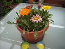 DSCN2638[1]