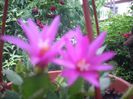 DSCN2643[1]