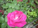 DSCN2644[1]