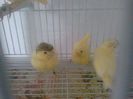 Photo0002