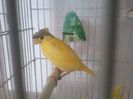 Photo0003