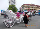 sunny beach bulgaria, mai 2013 092