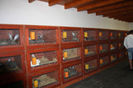 89044368_RQATLCO3