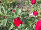 DSCN0542