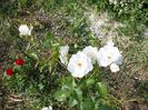 DSCN0543