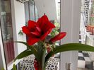 DSCN0525