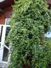 DSCN0510
