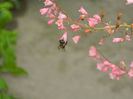 DSCN3179