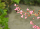 DSCN3180