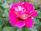 DSCN3411