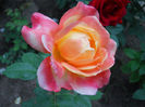 DSCN3410