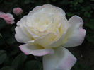 DSCN3402