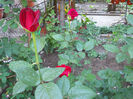 DSCN3378