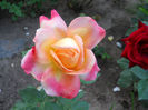 DSCN3397