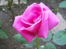 DSCN3380
