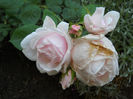 DSCN3369